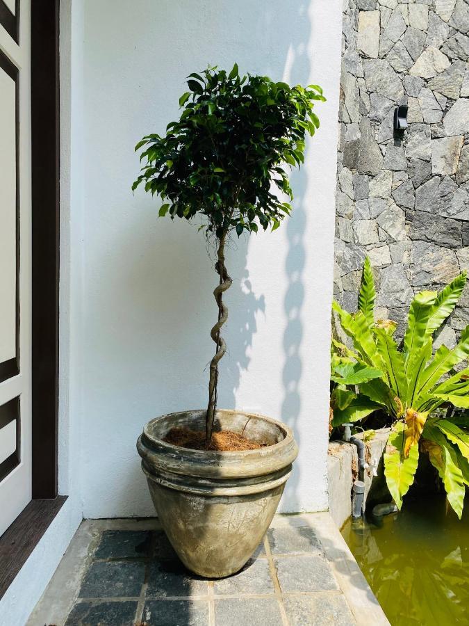 Thaprobana Villa Tangalle - Private Villa Eksteriør billede